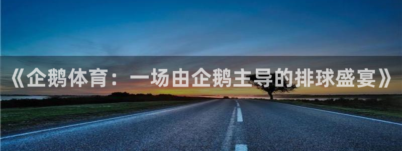 《企鹅体育：一场由企鹅主导的排球盛宴》