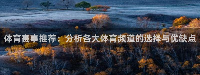 体育赛事推荐：分析各大体育频道的选择与优缺点