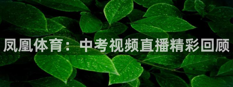 凤凰体育：中考视频直播精彩回顾