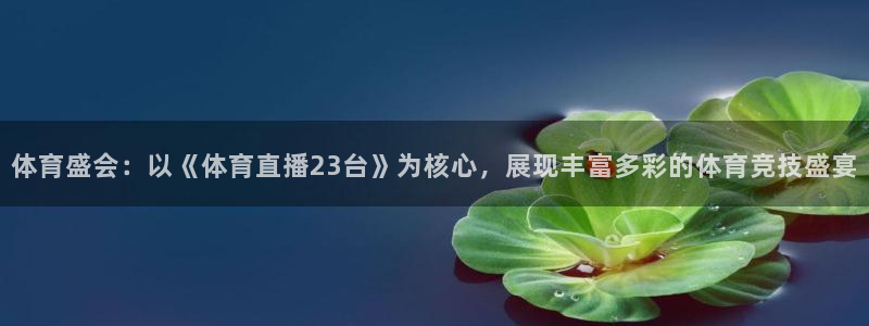 体育盛会：以《体育直播23台》为核心，展现丰富多彩的体育竞技盛宴