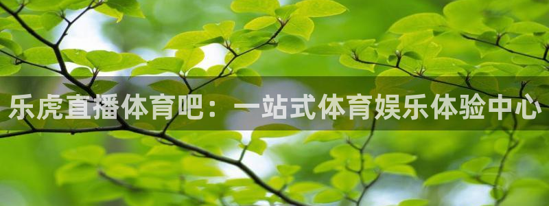 乐虎直播体育吧：一站式体育娱乐体验中心