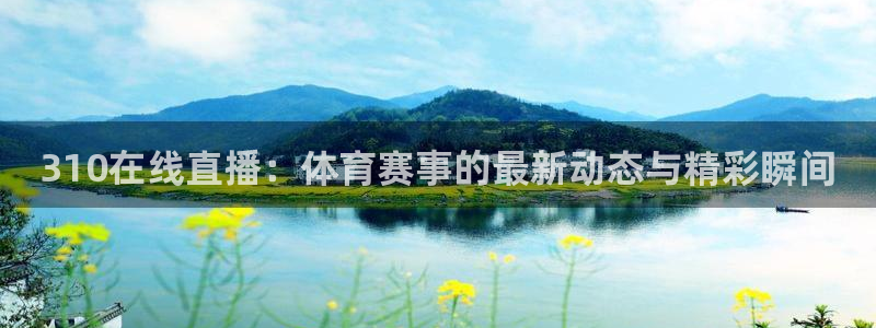310在线直播：体育赛事的最新动态与精彩瞬间