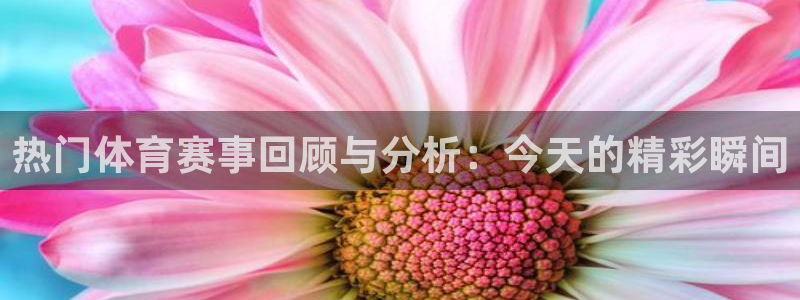 热门体育赛事回顾与分析：今天的精彩瞬间