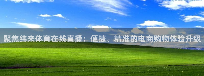 聚焦纬来体育在线直播：便捷、精准的电商购物体验升级