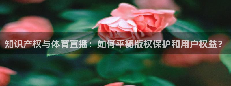 知识产权与体育直播：如何平衡版权保护和用户权益？