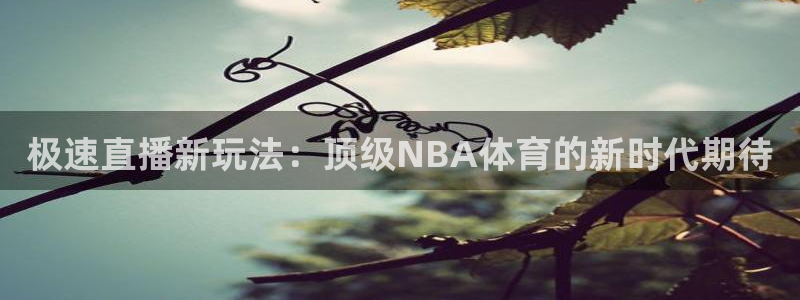 极速直播新玩法：顶级NBA体育的新时代期待