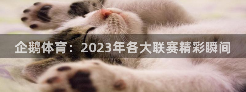 企鹅体育：2023年各大联赛精彩瞬间