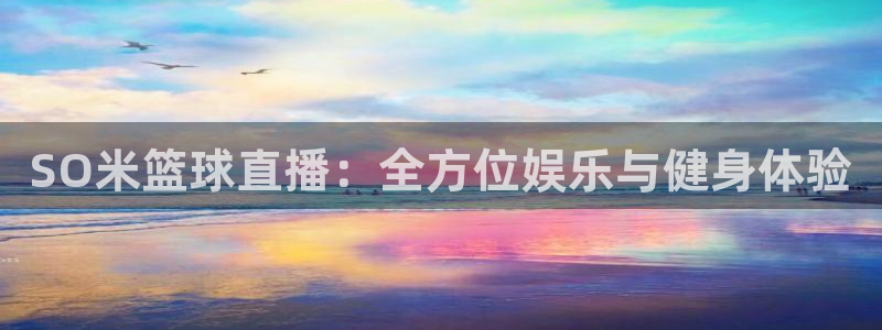 SO米篮球直播：全方位娱乐与健身体验