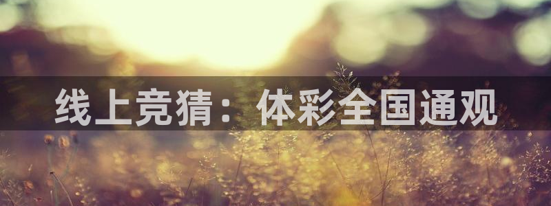 线上竞猜：体彩全国通观