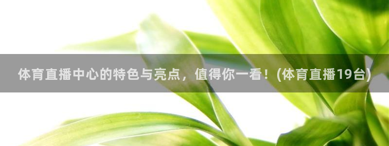 体育直播中心的特色与亮点，值得你一看！(体育直播19台)
