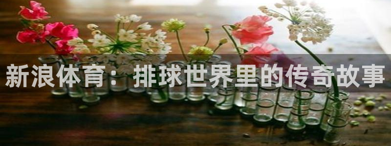 新浪体育：排球世界里的传奇故事