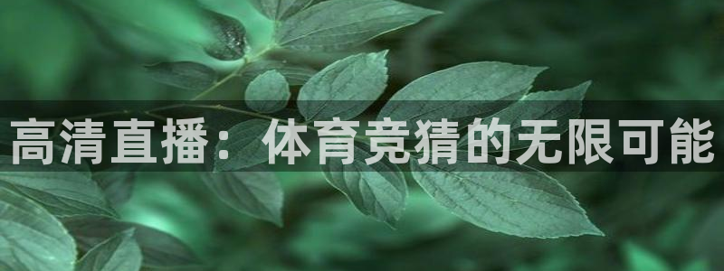 高清直播：体育竞猜的无限可能