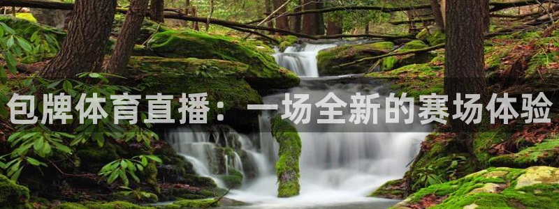 包牌体育直播：一场全新的赛场体验