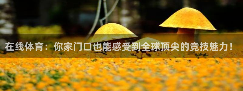 在线体育：你家门口也能感受到全球顶尖的竞技魅力！