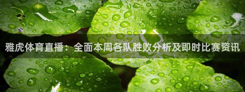 雅虎体育直播：全面本周各队胜败分析及即时比赛资讯