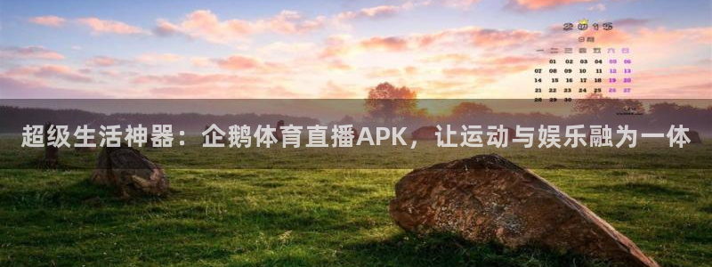 超级生活神器：企鹅体育直播APK，让运动与娱乐融为一体