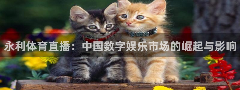 永利体育直播：中国数字娱乐市场的崛起与影响