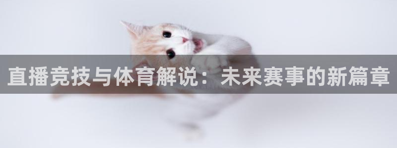 直播竞技与体育解说：未来赛事的新篇章