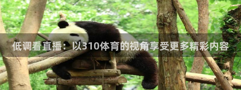 低调看直播：以310体育的视角享受更多精彩内容
