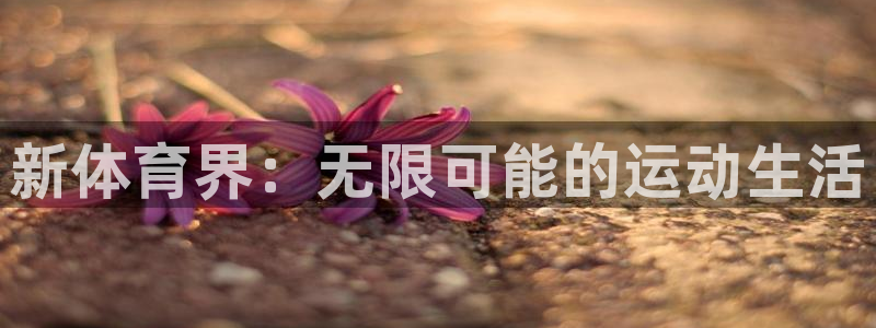 新体育界：无限可能的运动生活