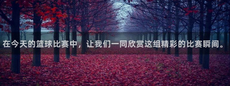 在今天的篮球比赛中，让我们一同欣赏这组精彩的比赛瞬间。