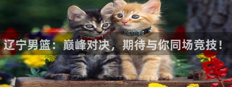 辽宁男篮：巅峰对决，期待与你同场竞技！